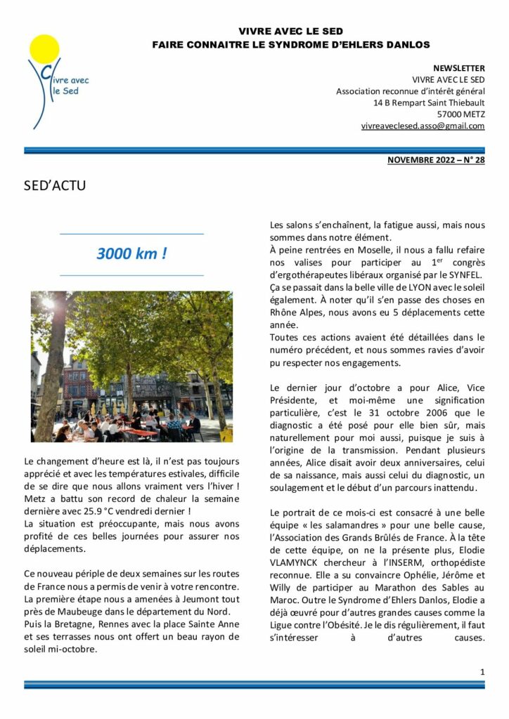 thumbnail of NEWSLETTER N28-11-2022